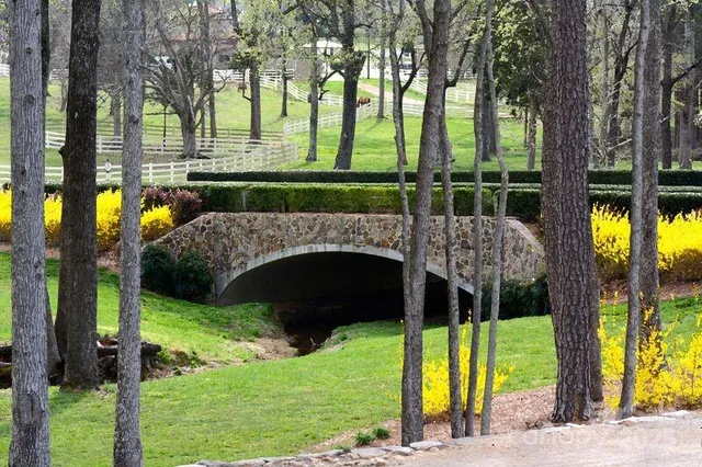 a view of a garden and swimming pool