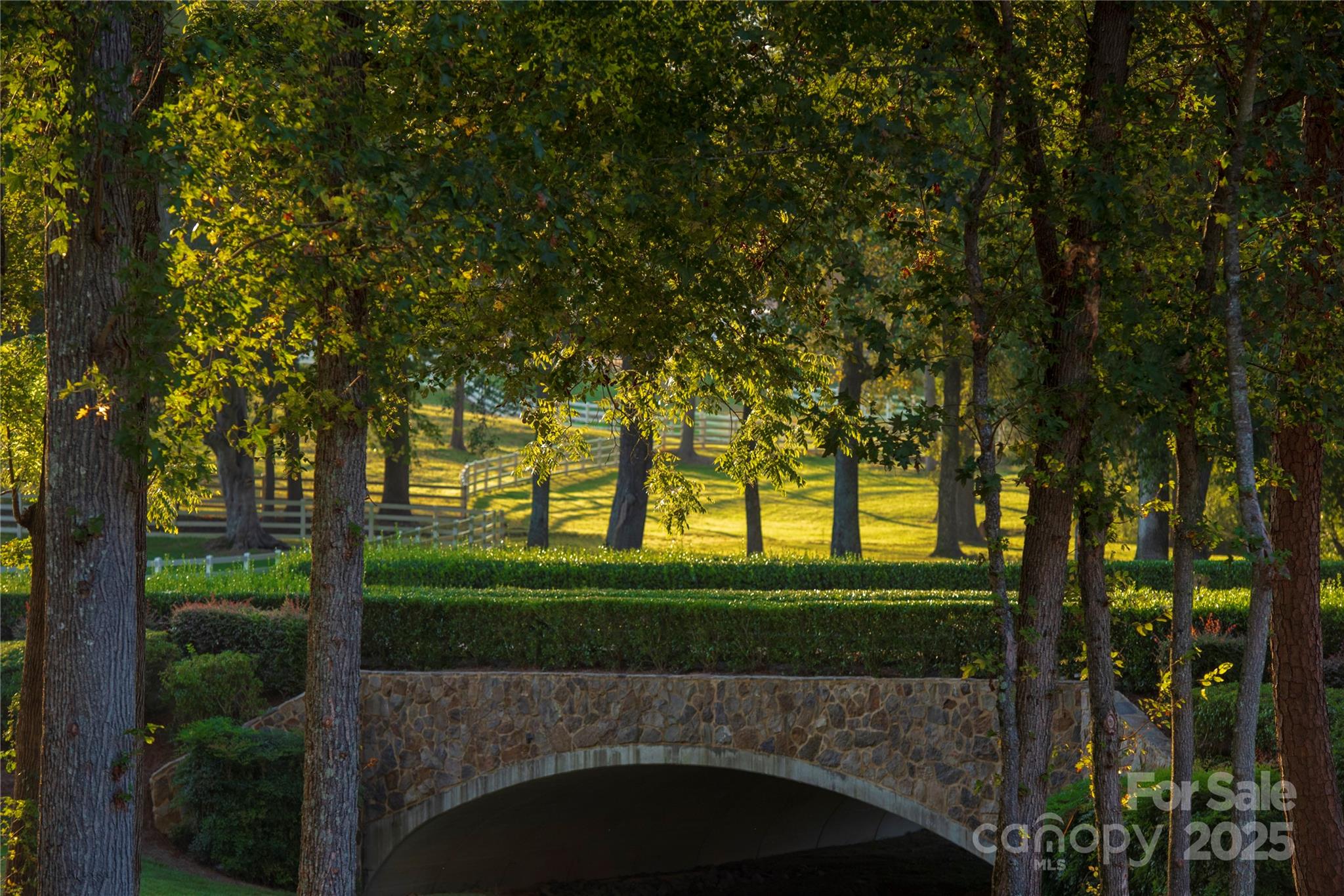 3900 Piaffe Avenue, Unit 92 Mint Hill, NC 28227 - Photo 15 of 17 a view of a park with large trees