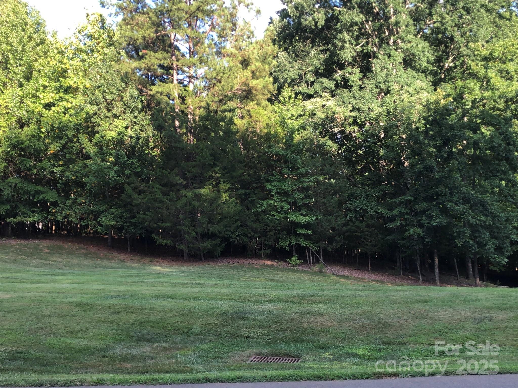 3900 Piaffe Avenue, Unit 92 Mint Hill, NC 28227 - Photo 5 of 17 a view of outdoor space with deck and yard
