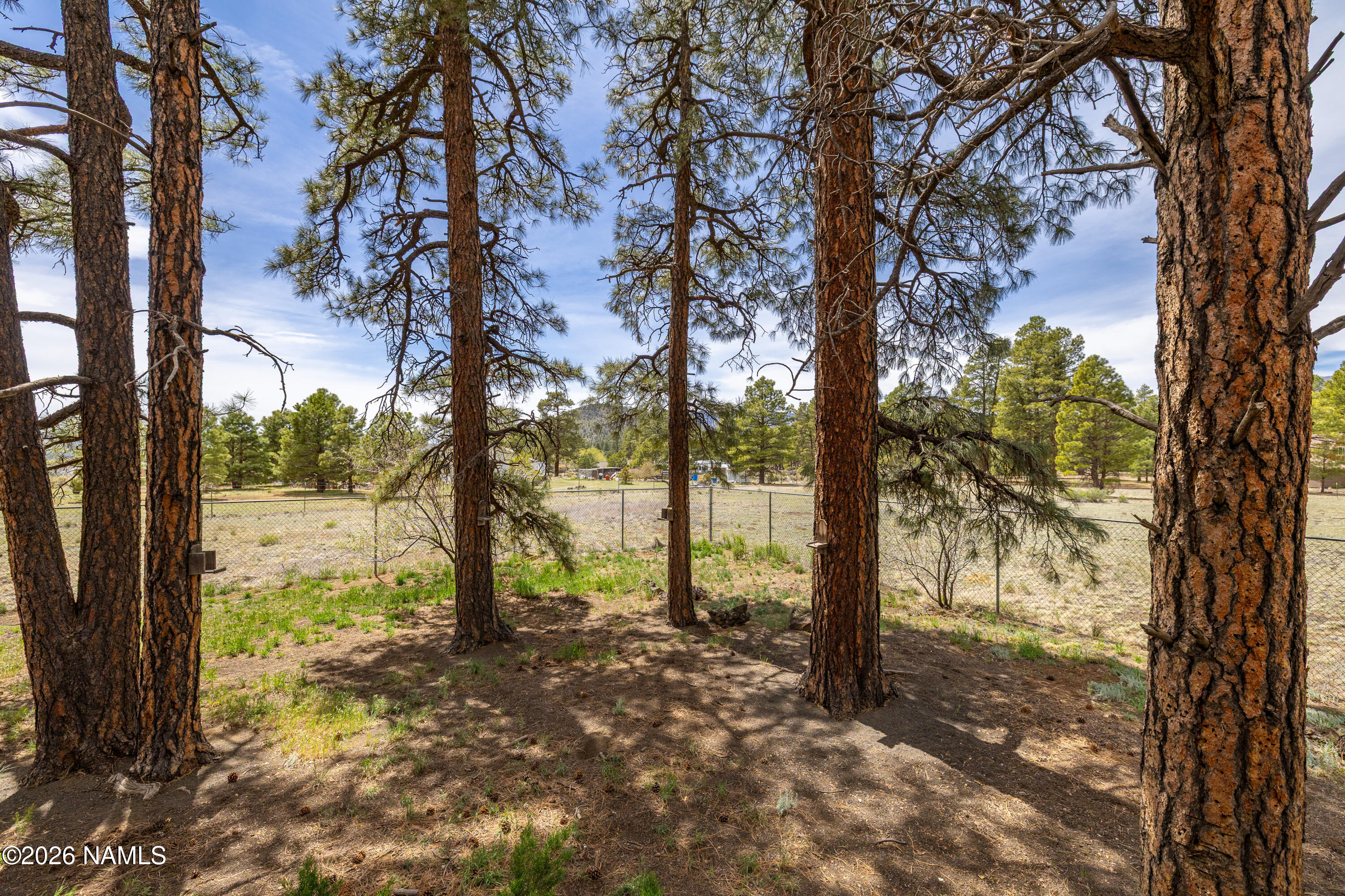 10510 Cross Road Flagstaff, AZ 86004 - Photo 9 of 22 CP-8