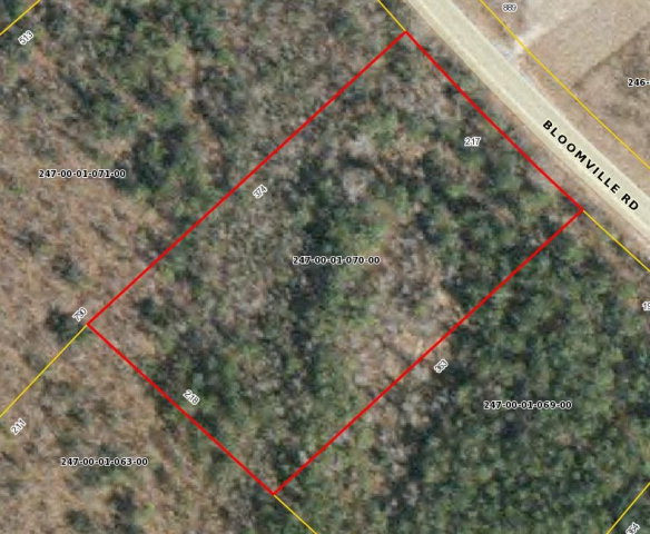 12124 Bloomville Road Manning, SC 29102 - Photo 6 of 6 Gallery Image 6