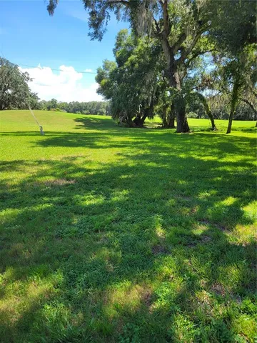 a view of a big yard with a large trees