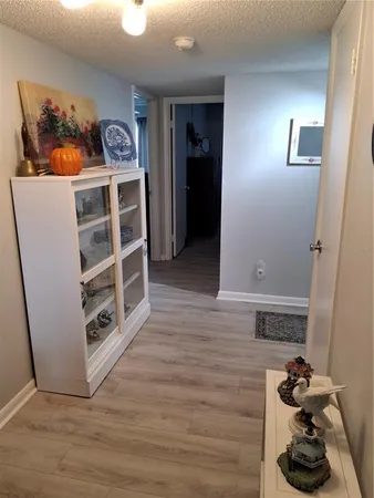 a view of a livingroom with wooden floor and closet