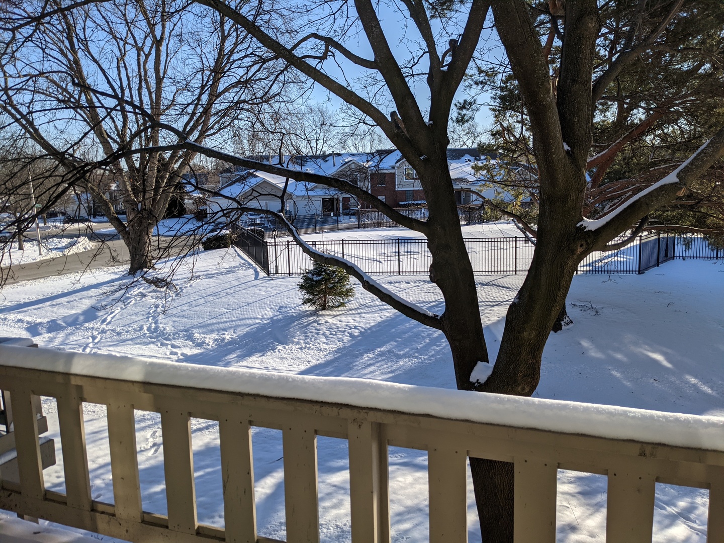 70 Margate Court, Unit C2 Schaumburg, IL 60193 - Photo 6 of 35 a view of a backyard with large trees