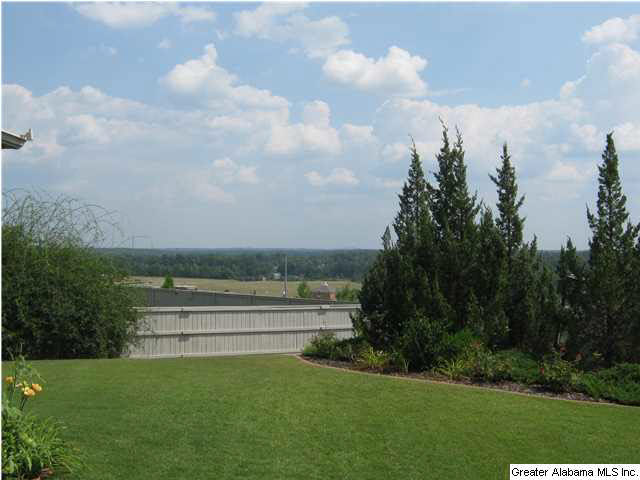 524 Foothills Ledge Chelsea, AL 35043 - Photo 4 of 13