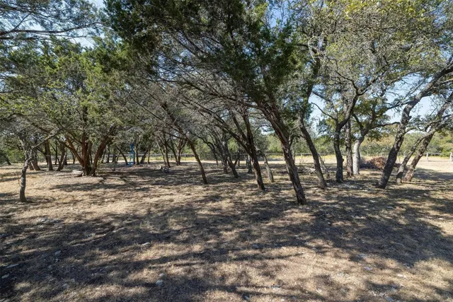 a view of outdoor space with trees