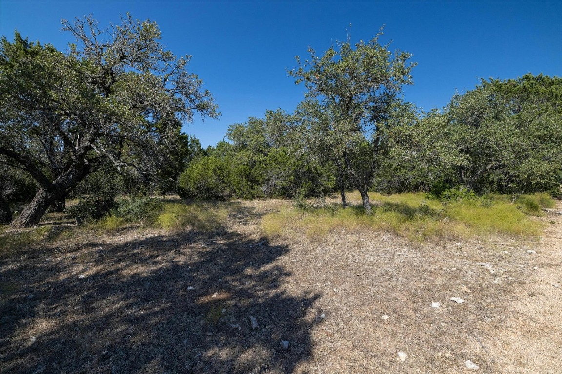 221 Tower Road Georgetown, TX 78628 - Photo 33 of 40 a view of a lake view