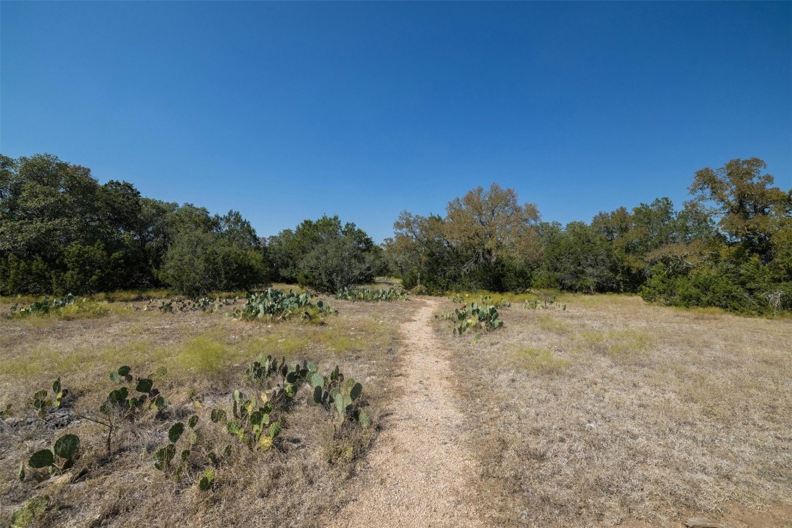221 Tower Road Georgetown, TX 78628 - Photo 5 of 40 a view of a yard with a tree