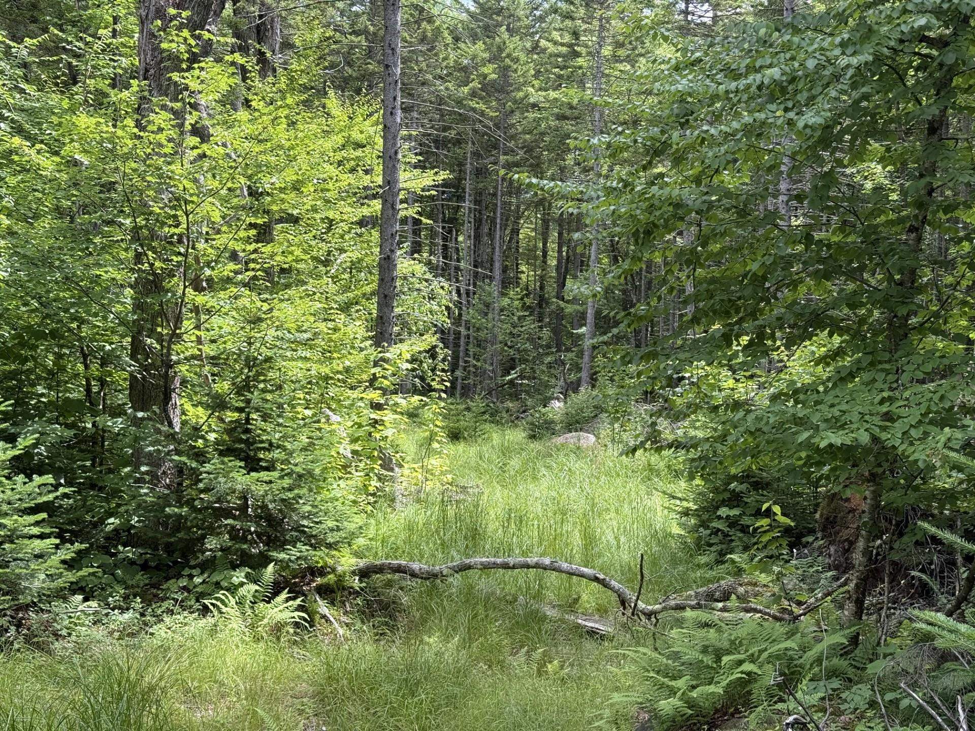 14-74 Grant Road Washington, NH 03280 - Photo 2 of 4