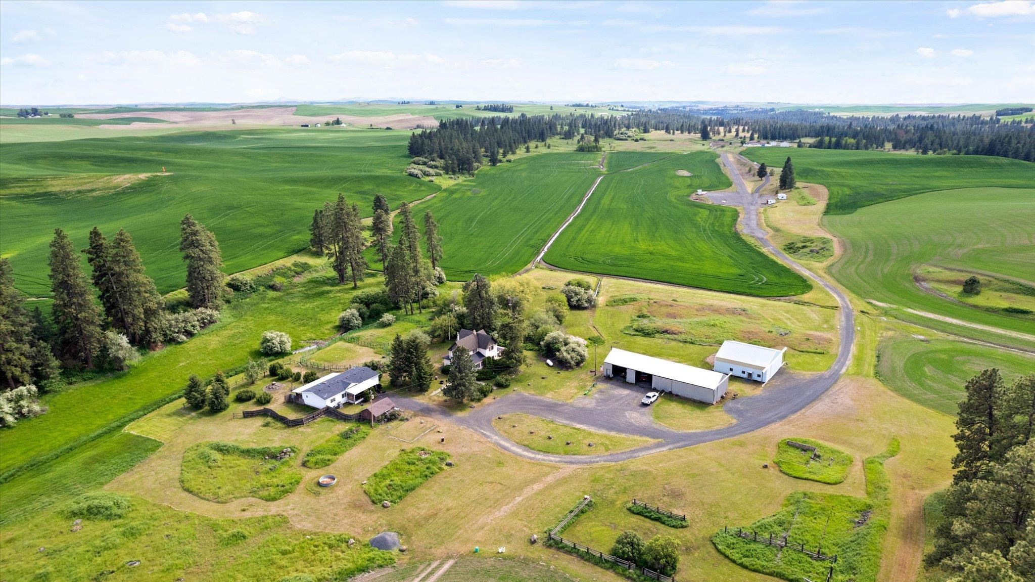 34411 South Hardesty Road Spangle, WA 99031 - Photo 1 of 50