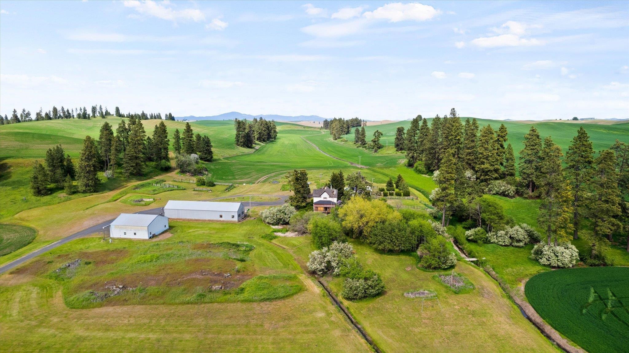 34411 South Hardesty Road Spangle, WA 99031 - Photo 6 of 50