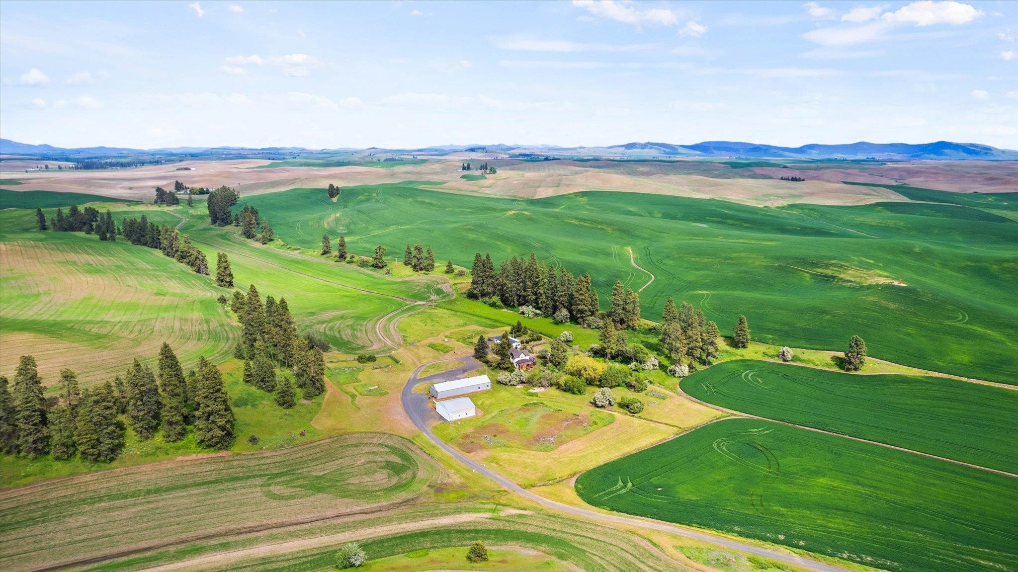 34411 South Hardesty Road Spangle, WA 99031 - Photo 7 of 50