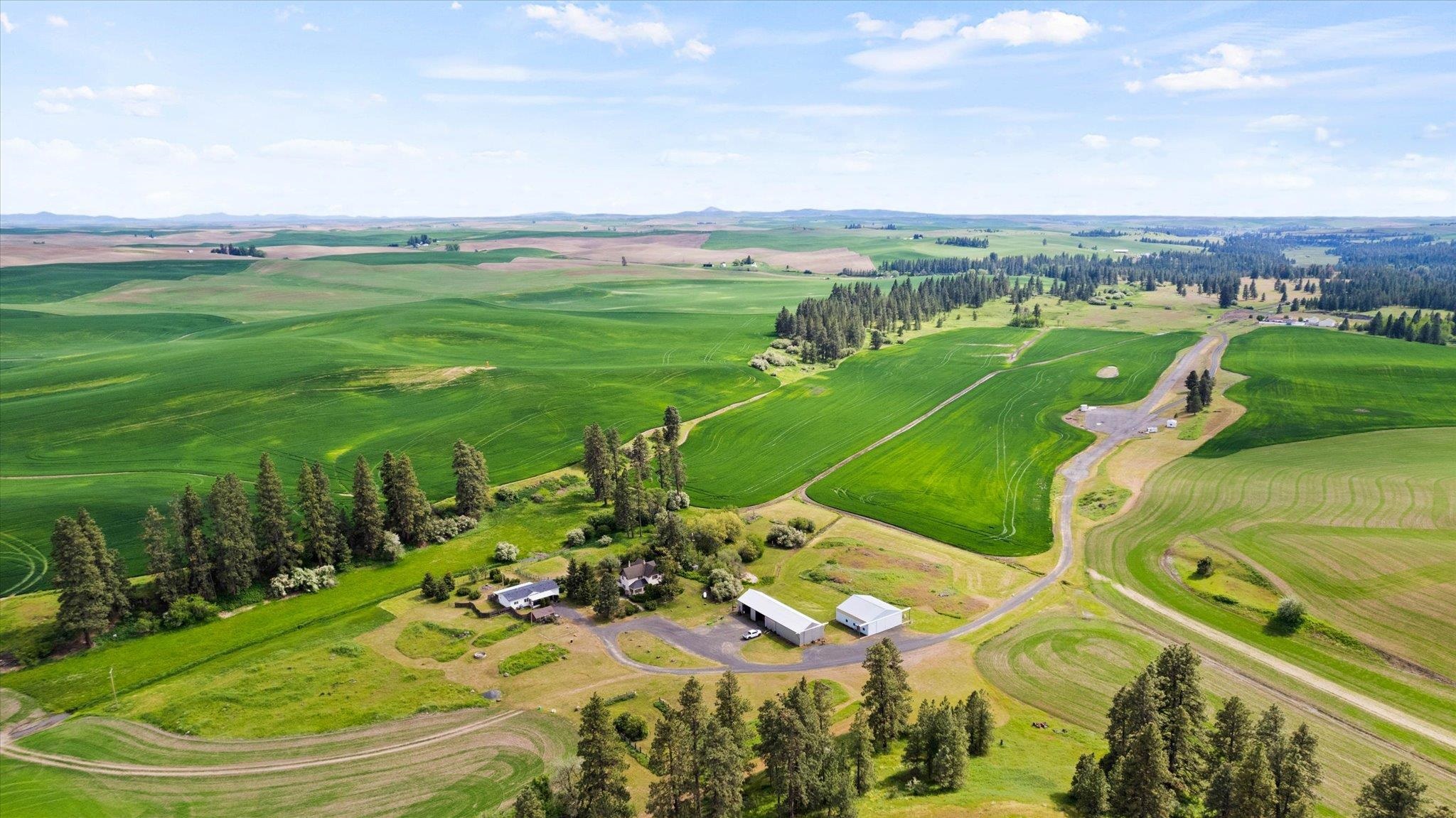 34411 South Hardesty Road Spangle, WA 99031 - Photo 8 of 50