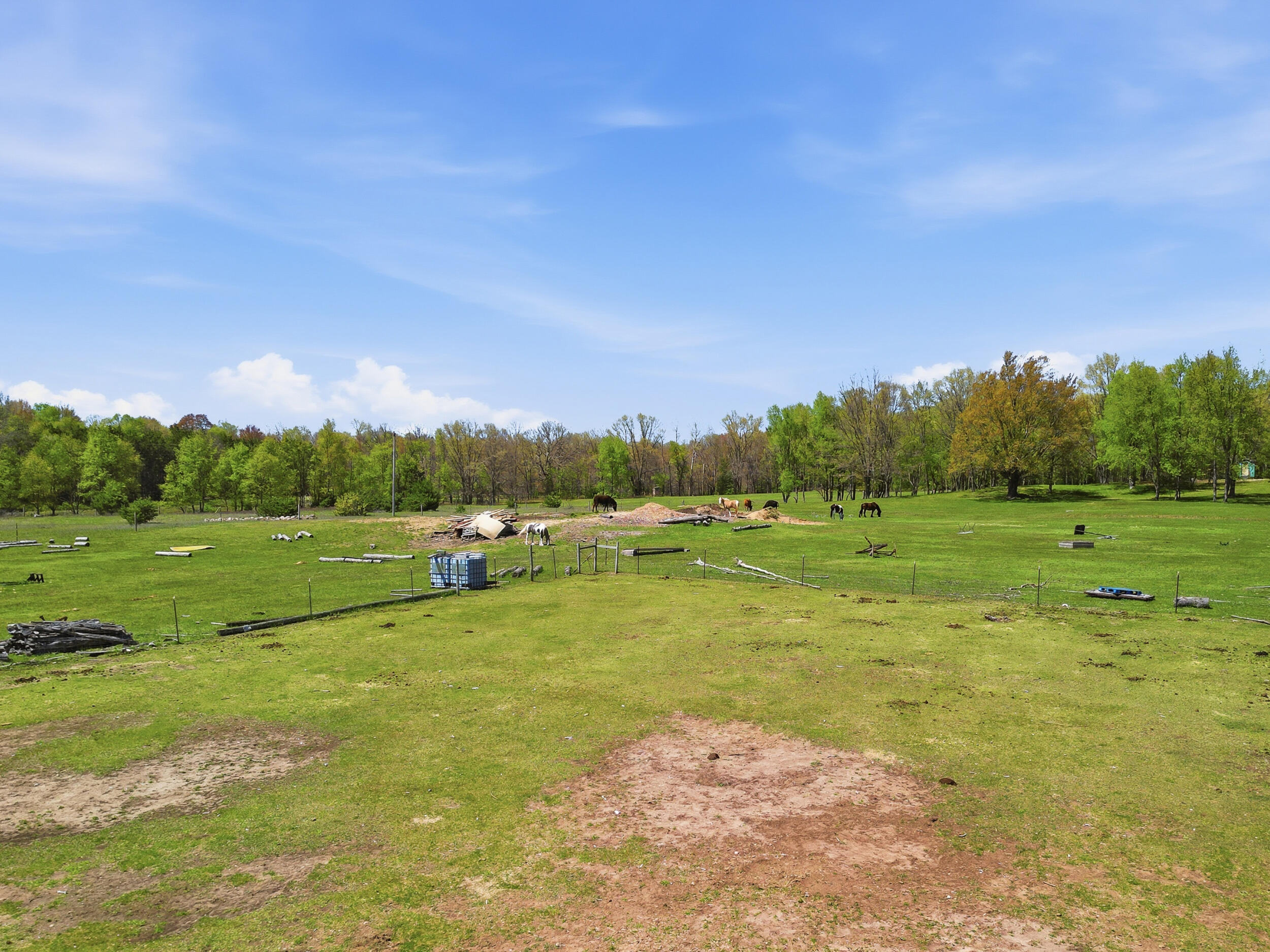 12686 Buchanan Road Stanwood, MI 49346 - Photo 51 of 59 54_d-7