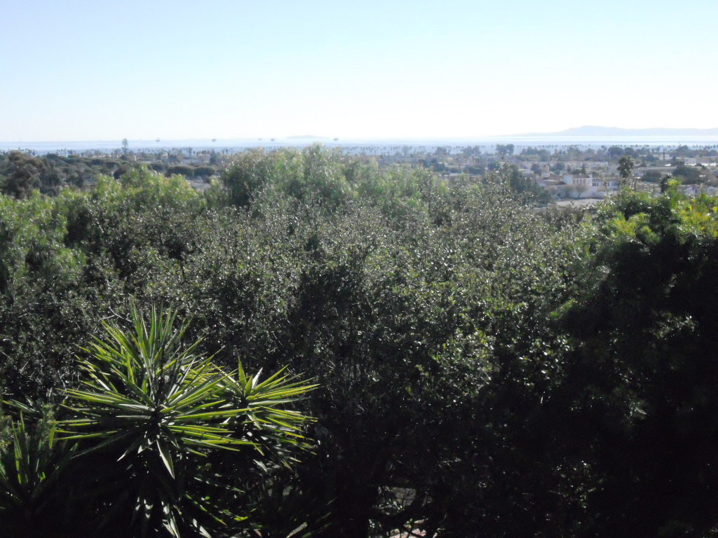 958 Garcia Road Santa Barbara, CA 93103 - Photo 7 of 7 View2