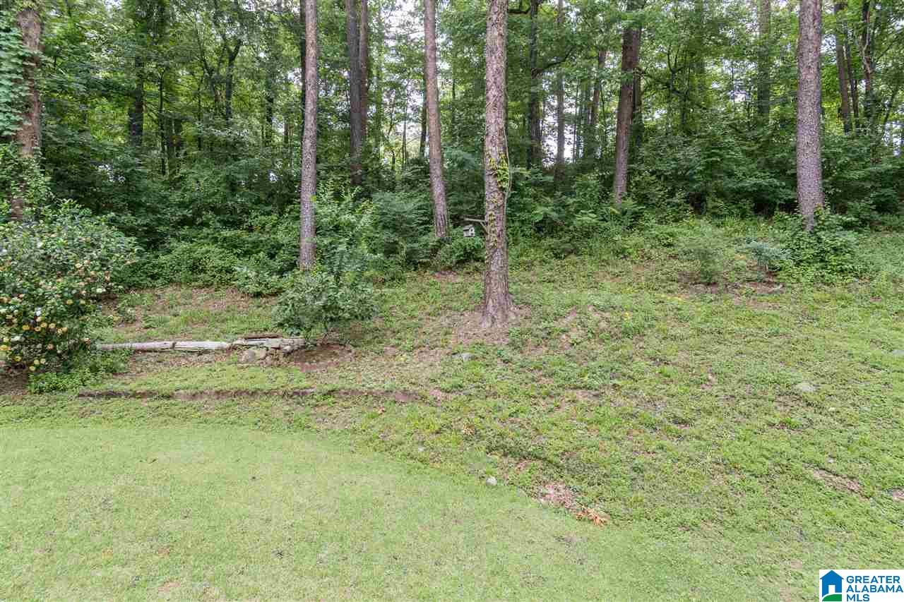 1034 Lake Point Lane Birmingham, AL 35244 - Photo 48 of 50