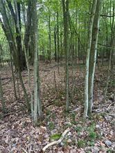 Section 14 Lot 24 Port-au-prince Road Du Bois, PA 15801 - Photo 6 of 17