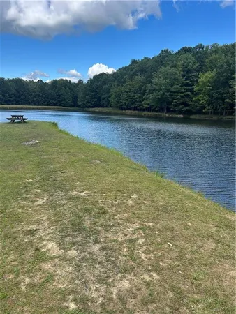 a view of a lake from a yard