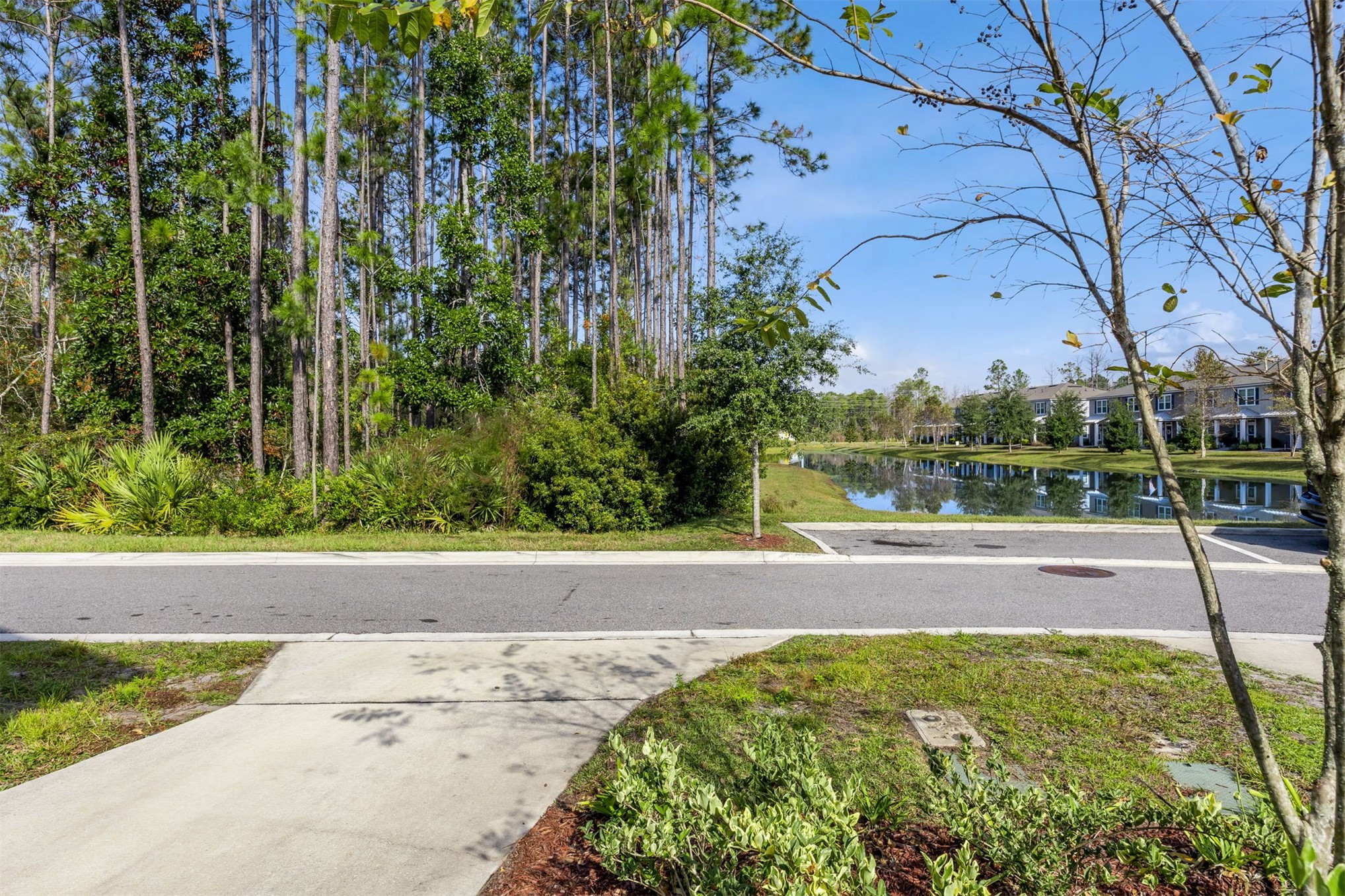 86440 Shortline Circle Yulee, FL 32097 - Photo 8 of 50 a view of a backyard