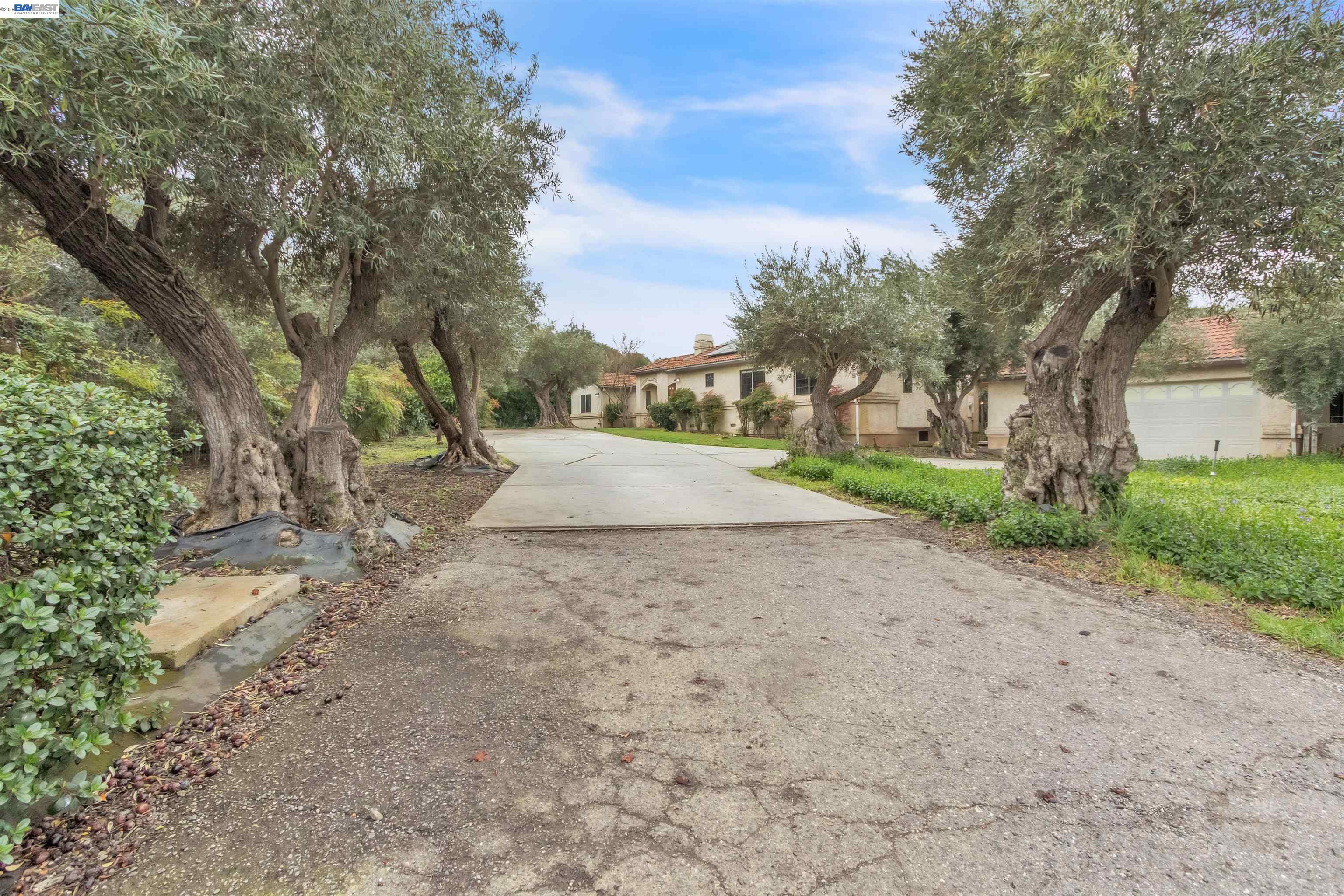 3665 Illinois Avenue Corning, CA 96021 - Photo 2 of 54 a view of a road with a trees