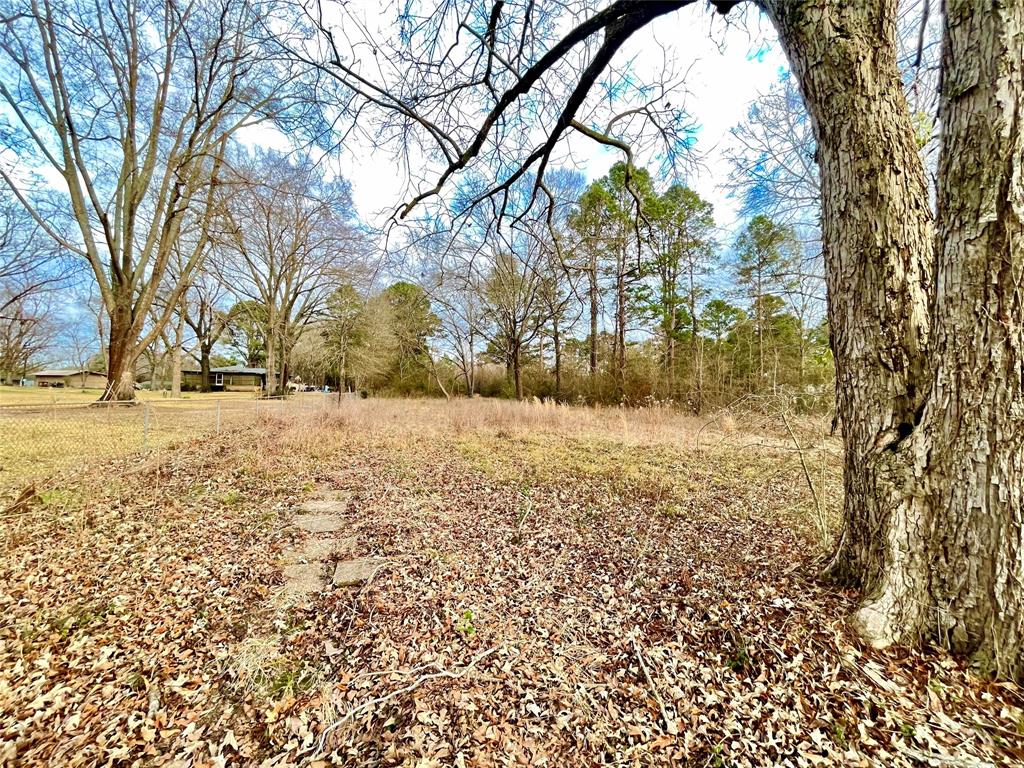 0 Pine Street Heflin, LA 71039 - Photo 5 of 14 Mature trees provide shade