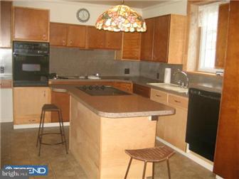 19 Krick Avenue Sinking Spring, PA 19608 - Photo 10 of 12