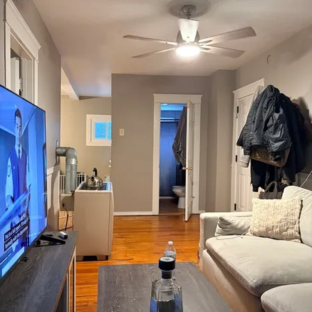 a living room with furniture ceiling fan and a rug