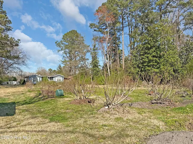 $150,000 | 329 West Jones Street, Trenton, NC 28585