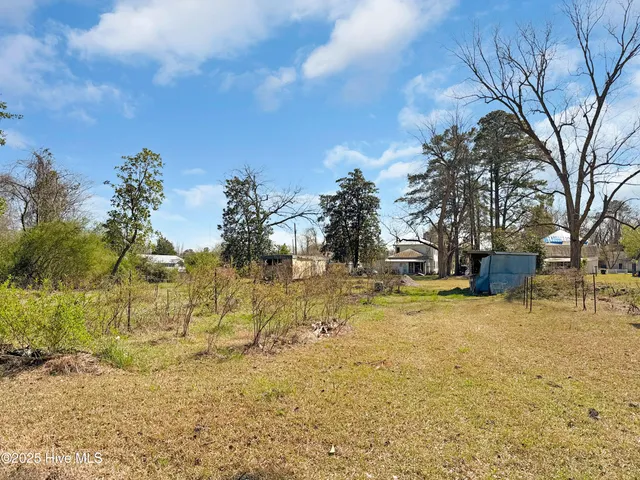 $150,000 | 329 West Jones Street, Trenton, NC 28585