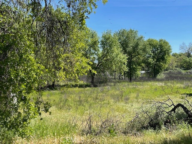 9286 San Benito Avenue Gerber, CA 96035 - Photo 43 of 47