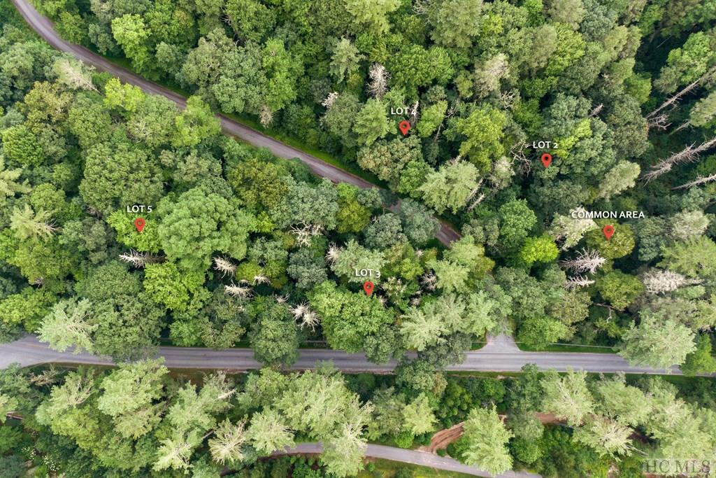 Tbd Highgate Road Highlands, NC 28741 - Photo 7 of 11 Gallery Image 7