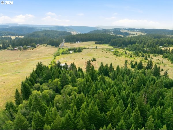 Snowden Road White Salmon, WA 98672 - Photo 3 of 26