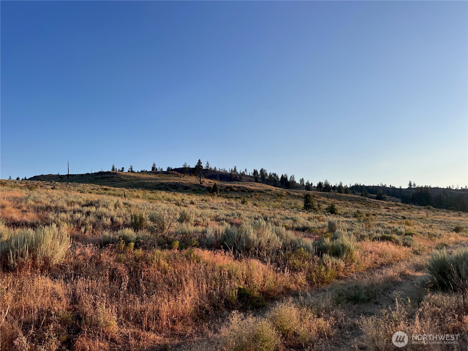 0 Twin Falls Road Riverside, WA 98849 - Photo 28 of 40 Gallery Image 28
