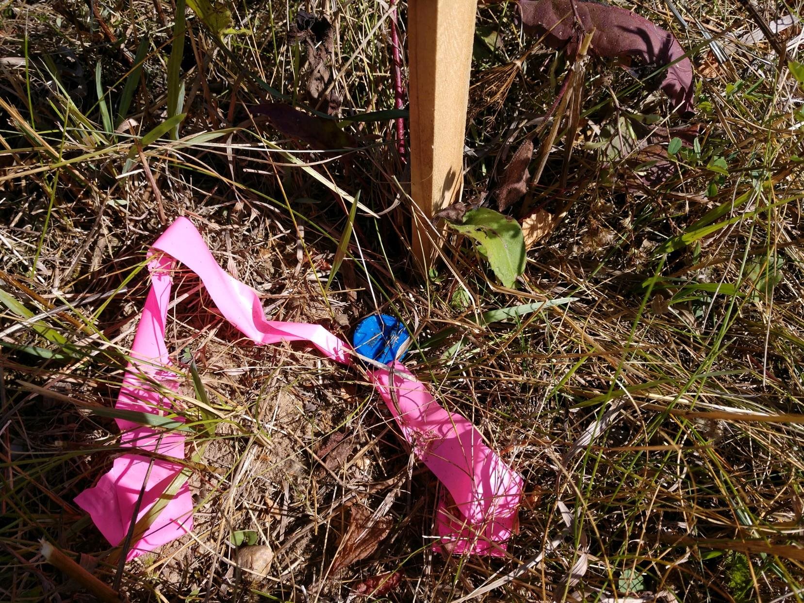Parcel B Parcel B Putnam Hale, MI 48739 - Photo 6 of 6