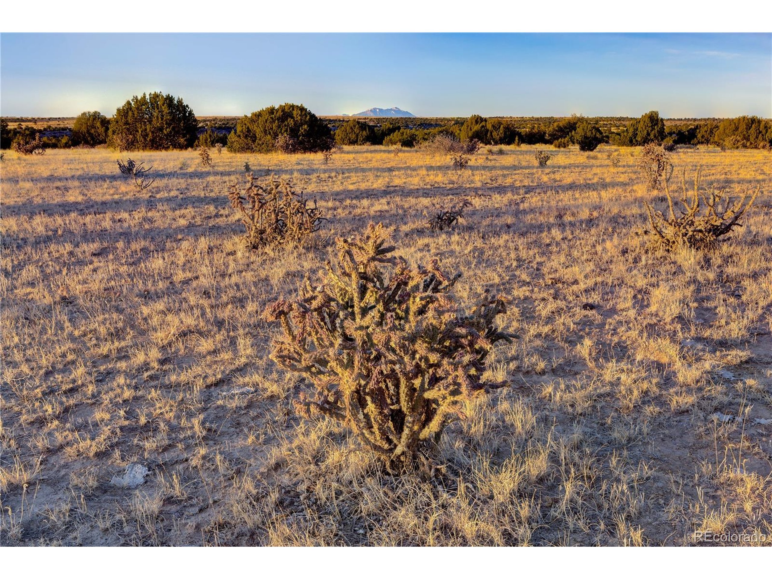 Undisclosed Address Model, CO 81059 - Photo 8 of 33