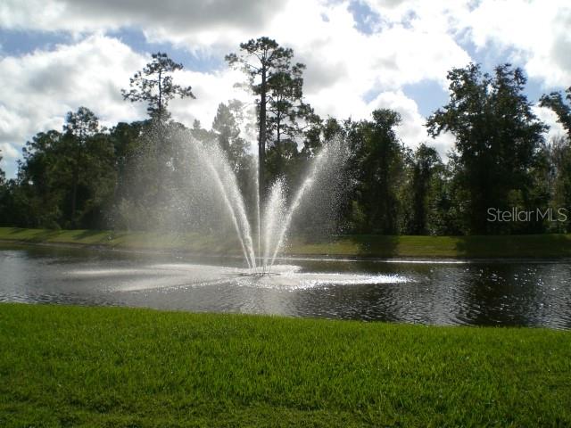 13426 Chariho Lane Windermere, FL 34786 - Photo 12 of 80