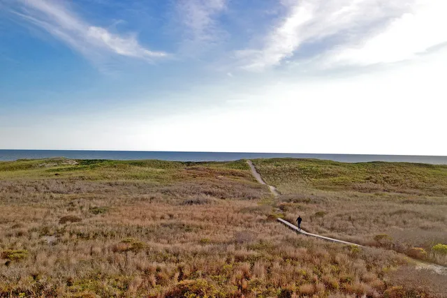 a view of a lake with a mountain in the background