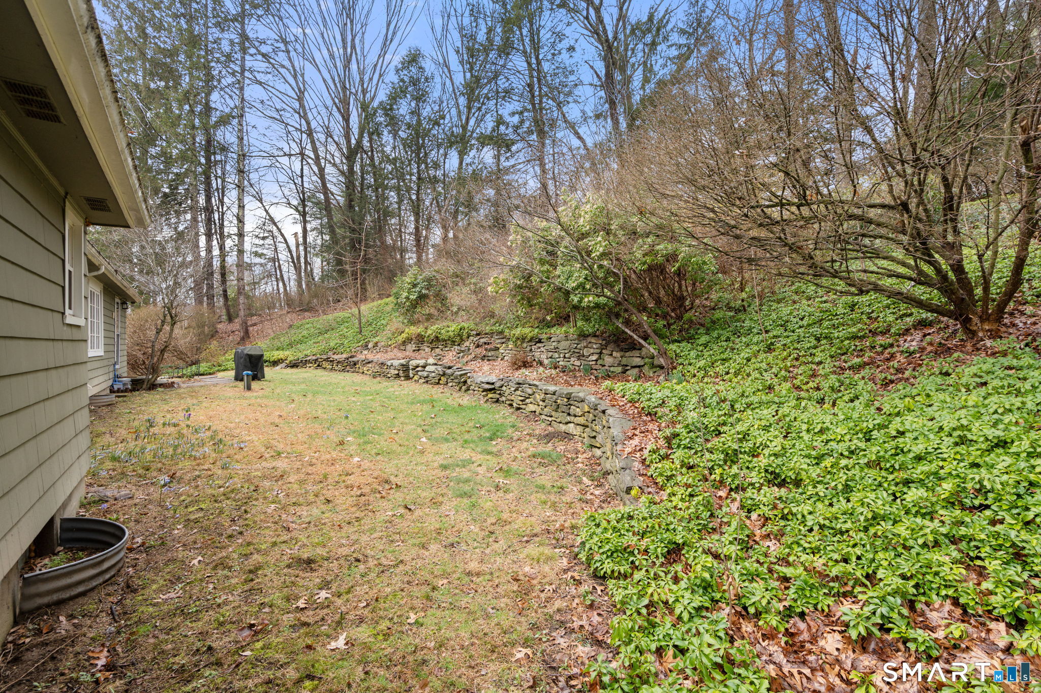 183 Old Hall Road Woodstock, CT 06281 - Photo 5 of 29 a view of yard with trees