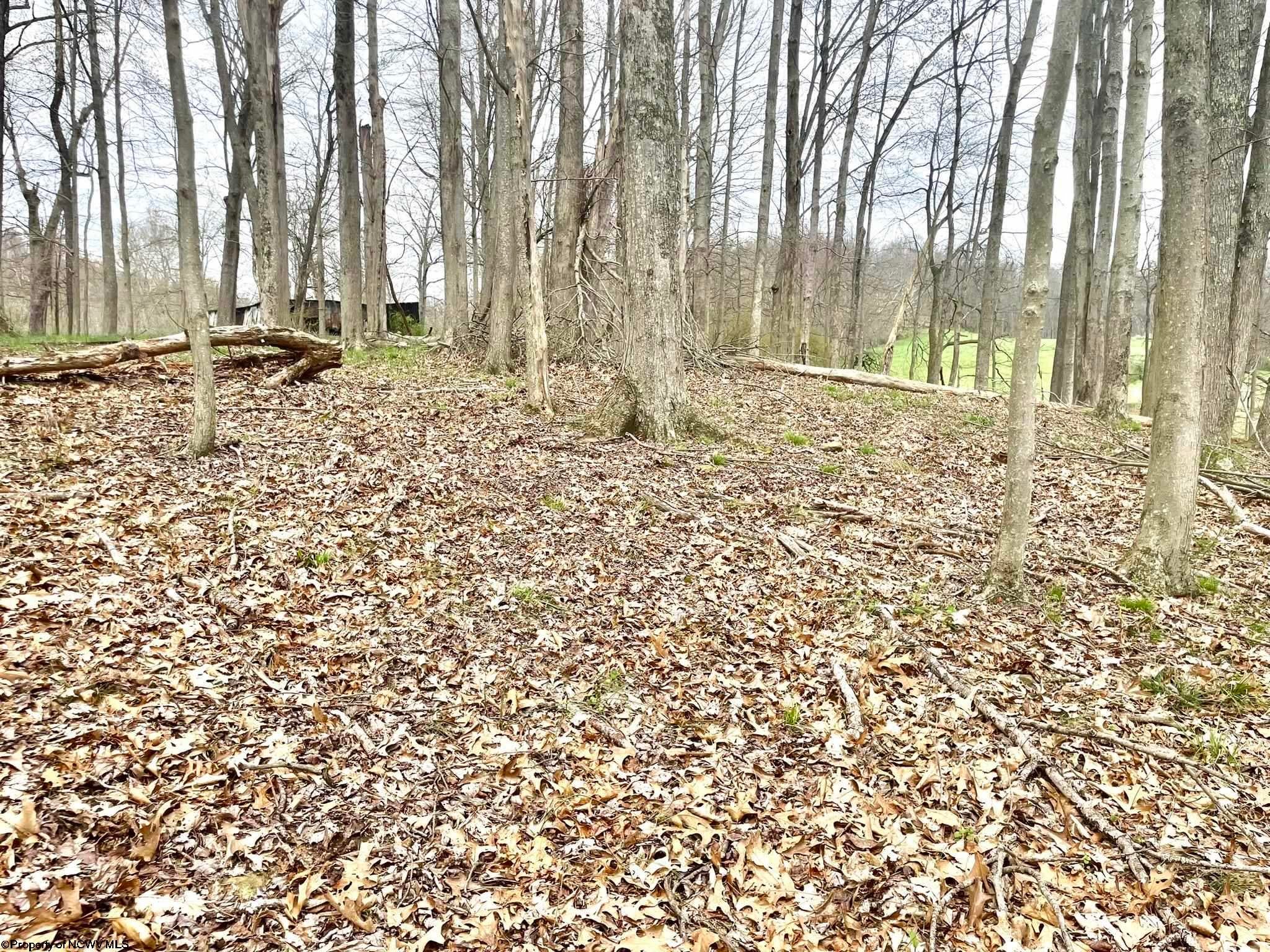 Tbd McCanns Run Road Jane Lew, WV 26378 - Photo 29 of 36 Gallery Image 29