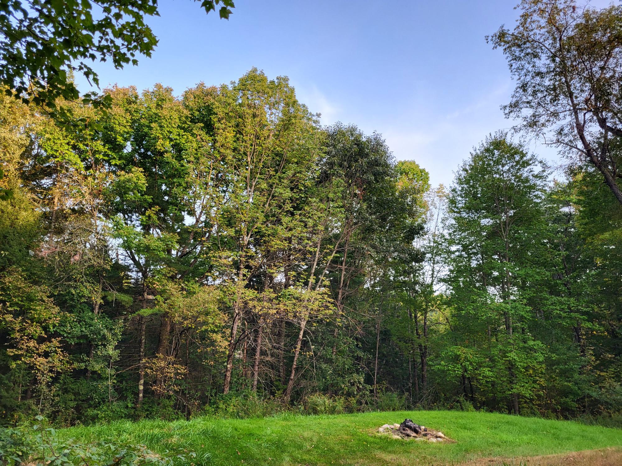 536 South Belfast Road Windsor, ME 04363 - Photo 41 of 62 20230927_172431