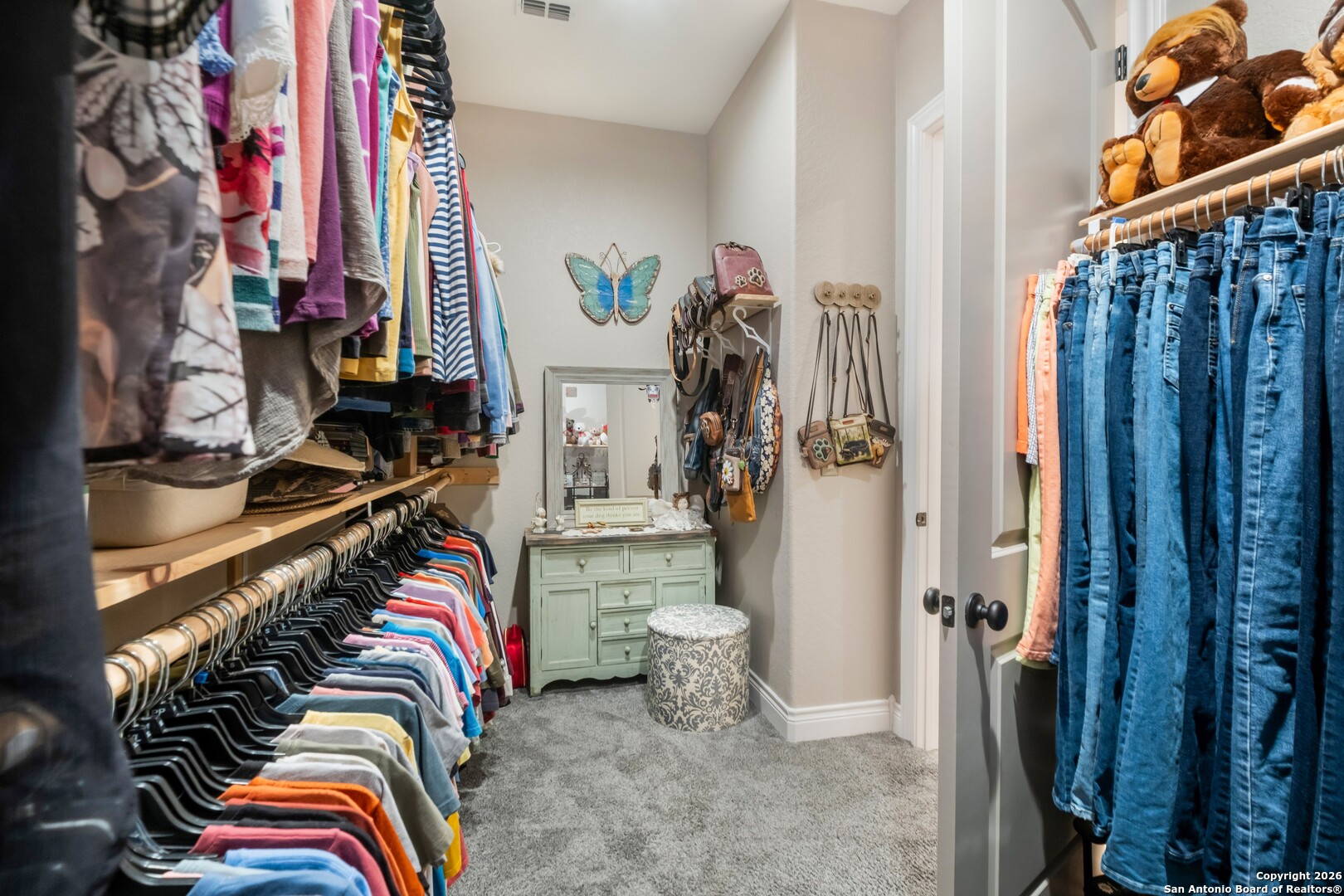 103 Rio Grande Drive Blanco, TX 78606 - Photo 30 of 99 a view of walk in closet with clothes and shoes