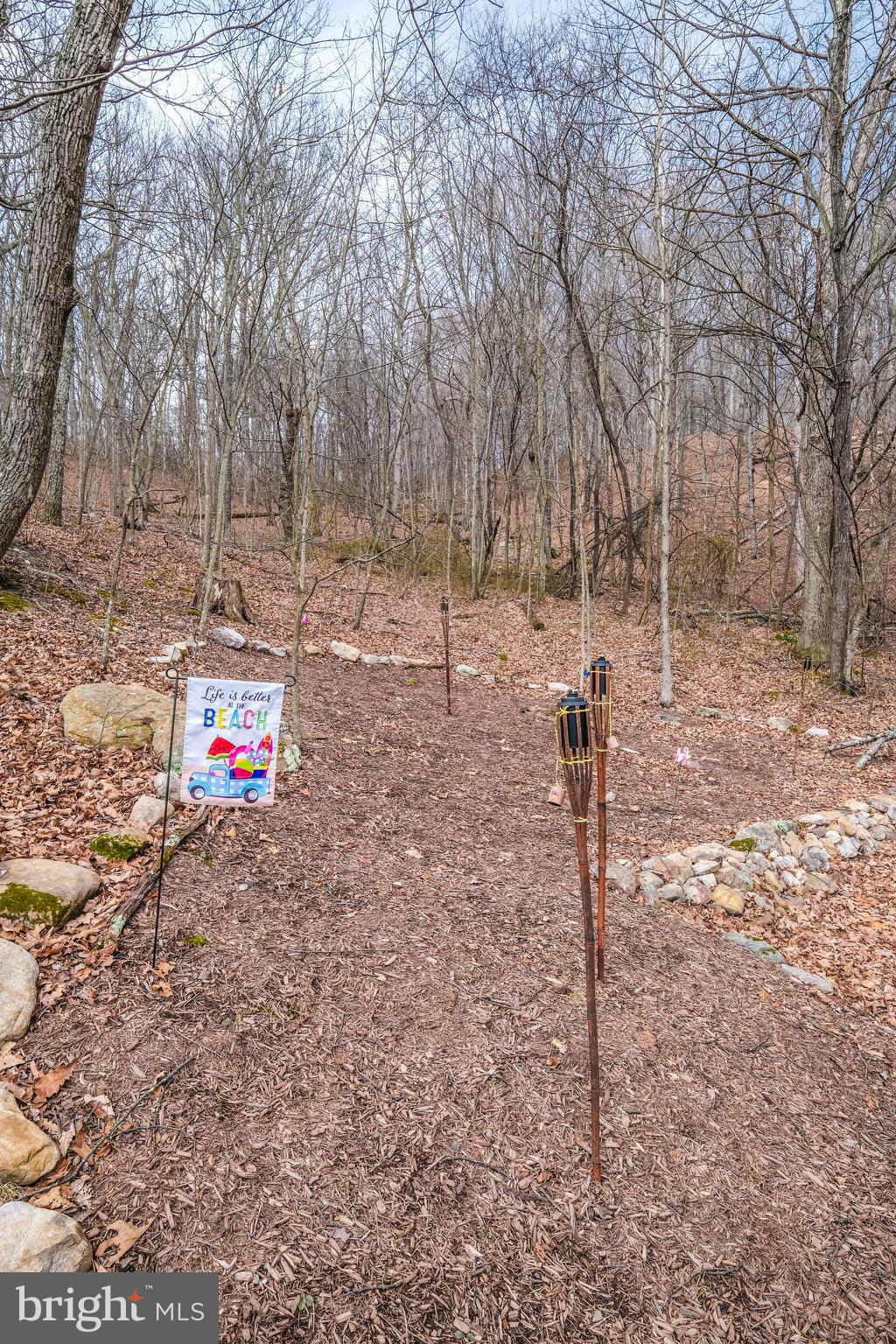 642 Paddys Run Road Star Tannery, VA 22654 - Photo 12 of 79