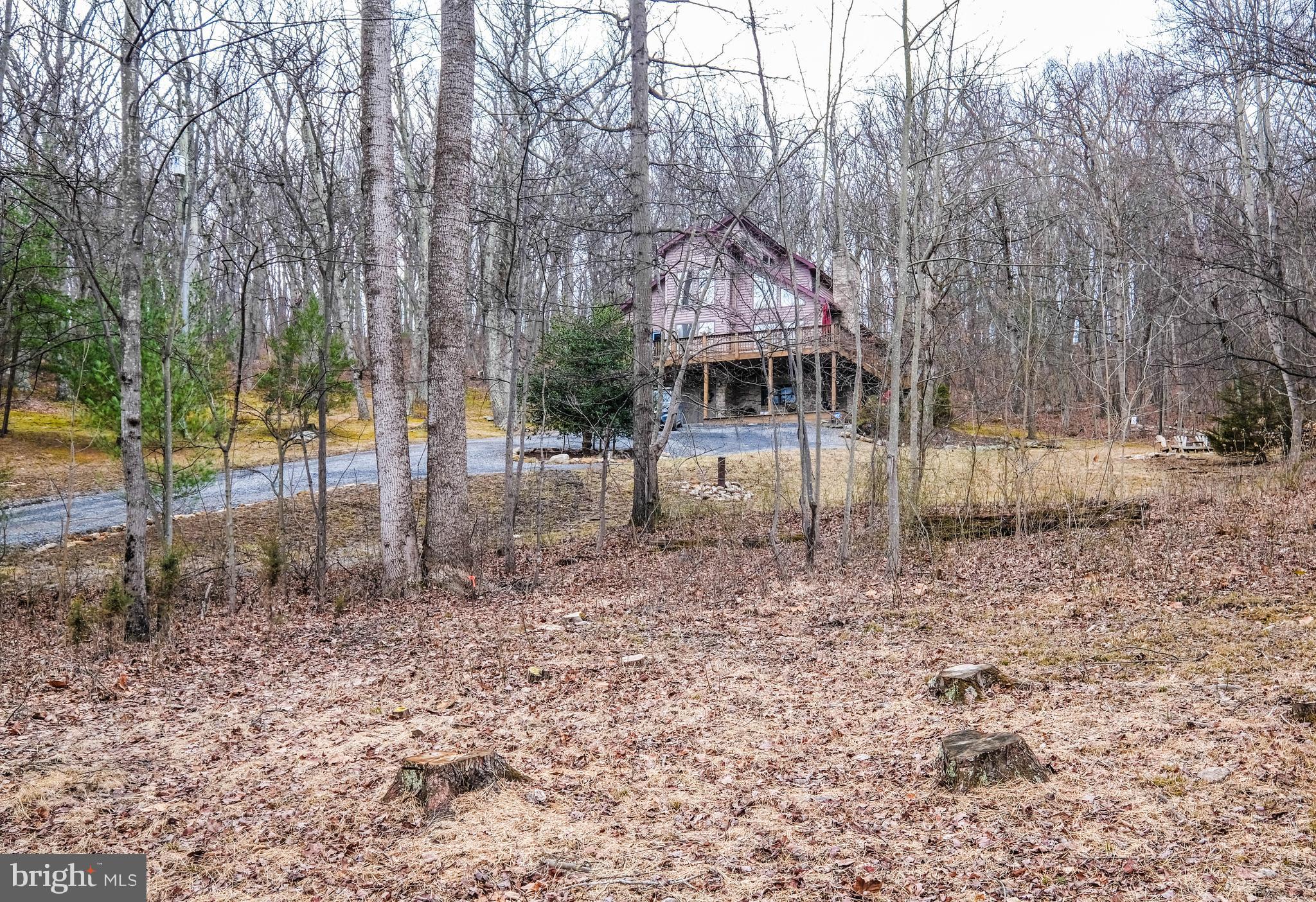 642 Paddys Run Road Star Tannery, VA 22654 - Photo 19 of 79