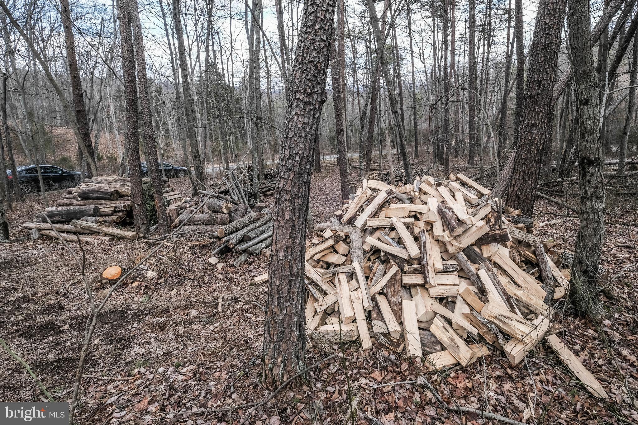 642 Paddys Run Road Star Tannery, VA 22654 - Photo 21 of 79