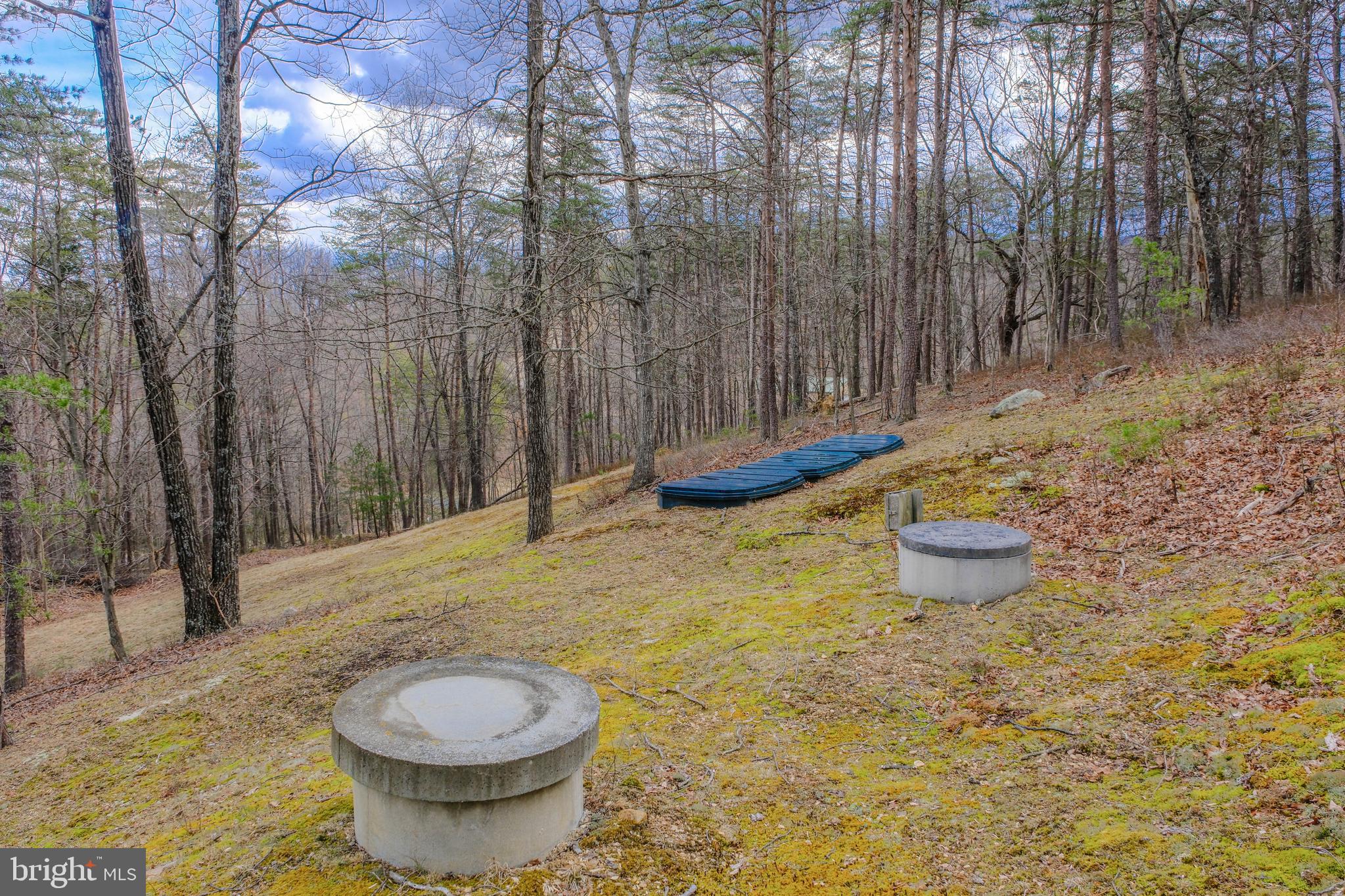 642 Paddys Run Road Star Tannery, VA 22654 - Photo 4 of 79