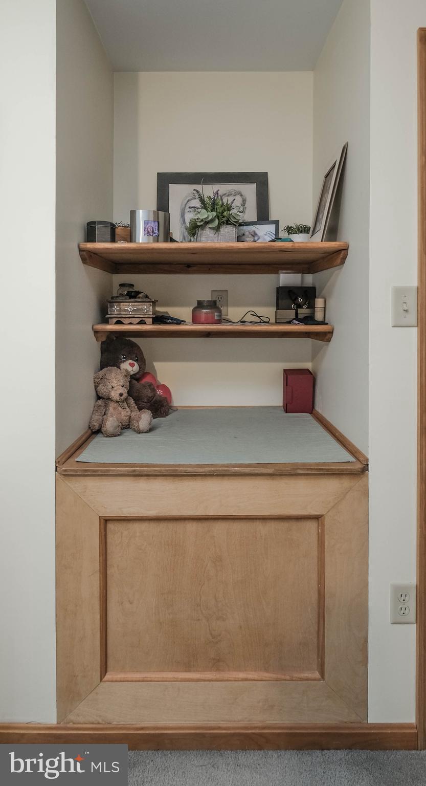 642 Paddys Run Road Star Tannery, VA 22654 - Photo 48 of 79