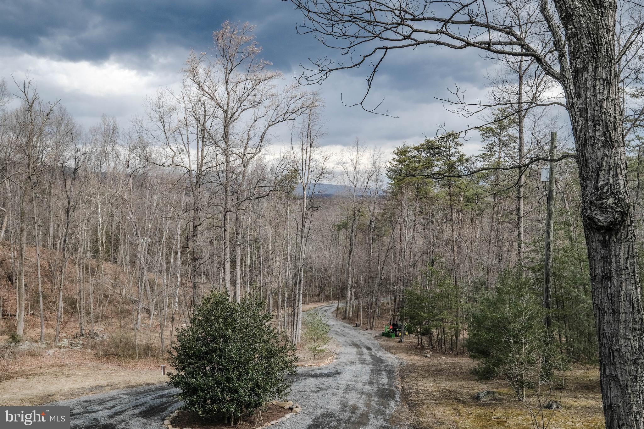 642 Paddys Run Road Star Tannery, VA 22654 - Photo 5 of 79