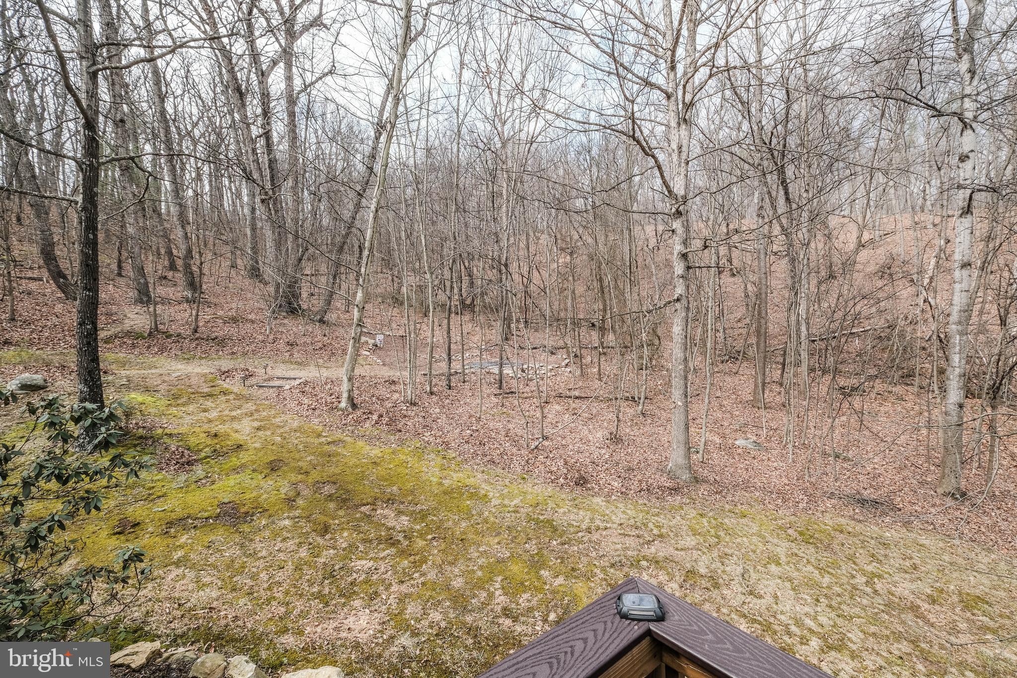 642 Paddys Run Road Star Tannery, VA 22654 - Photo 10 of 79