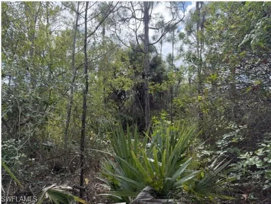 $185,000 | Xxxx 52nd Avenue Northeast, Naples, FL 34120