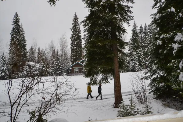 $62,500 | 1349 Hearthstone Court, Unit 9G, McCall, ID 83638